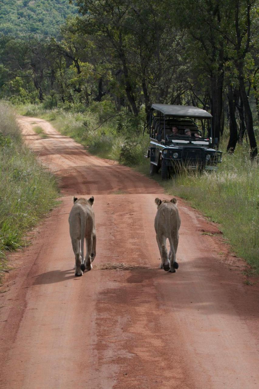 Inzalo Safari Lodge Welgevonden Doğa Koruma Alanı Dış mekan fotoğraf