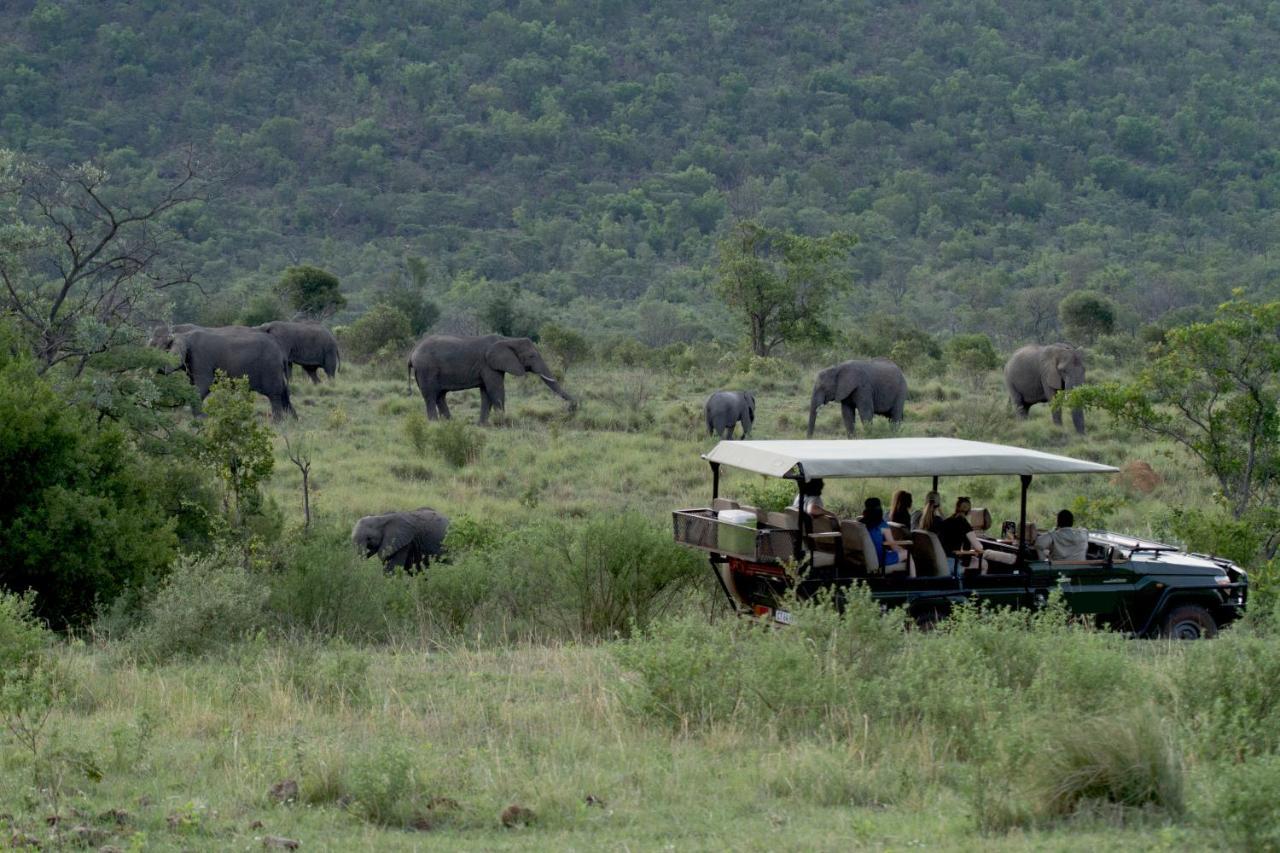 Inzalo Safari Lodge Welgevonden Doğa Koruma Alanı Dış mekan fotoğraf