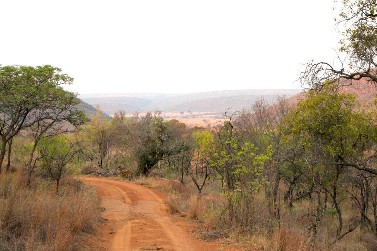 Inzalo Safari Lodge Welgevonden Doğa Koruma Alanı Dış mekan fotoğraf