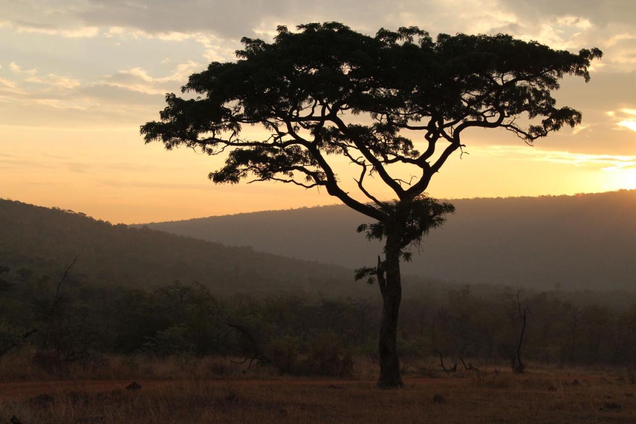 Inzalo Safari Lodge Welgevonden Doğa Koruma Alanı Dış mekan fotoğraf